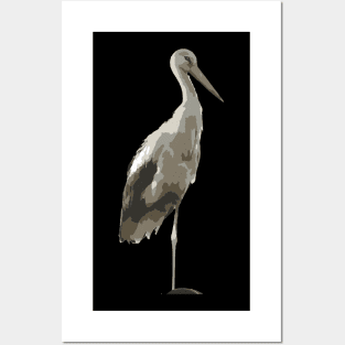 Side View Of A White Stork Isolated Posters and Art